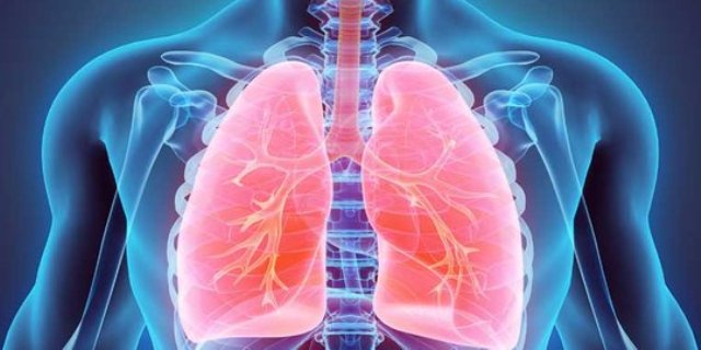 Gjatë 2024-tës, në Kosovë janë regjistruar 548 raste të reja me tuberkuloz