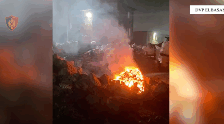 Si u arrestuan 16 persona nga kompania GSA Ferrokrom dhe CCALV SHPK për ndotjen masive të ajrit në Elbasan dhe pastrim parash