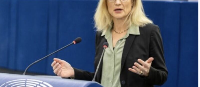 Von Cramon ‘kapet’ me Martens: Para se të flasim për veto duhet të ndodhin shumë gjëra, Serbia është shumë larg BE’së