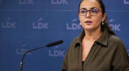 Lushaku: LDK mirëpret fazën konsultative për punën e presidentit të ri, kemi edhe ne emrat që mund t’i propozojmë