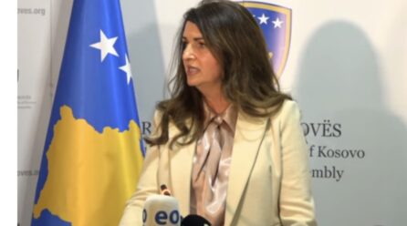 Nagavci: Jemi të gatshëm për zgjedhje të reja nëse nuk ka kourum për Presidentin