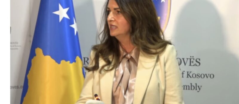 Nagavci: Jemi të gatshëm për zgjedhje të reja nëse nuk ka kourum për Presidentin