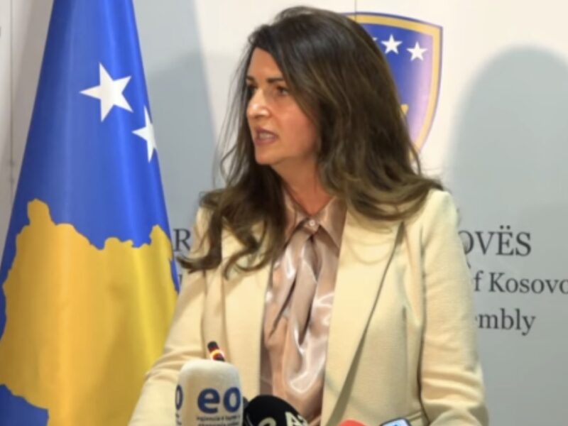 Nagavci: Jemi të gatshëm për zgjedhje të reja nëse nuk ka kourum për Presidentin