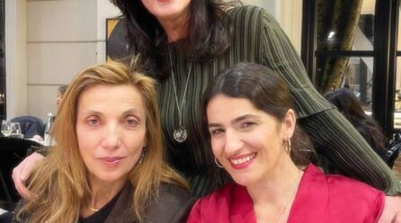 Mimoza Ahmeti dhe kriza e vëmendjes kulturore