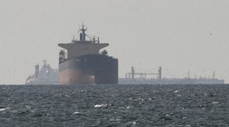 Gjermania po shqyrton dërgimin e një marine në Hormuz