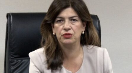 Daka: Votimi nga diaspora është proces shumë i komplikuar