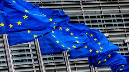 Mashtrimet me subvencionet bujqësore të BE, 17 të arrestuar në Selanik! Eurodeputetët sot në Athinë